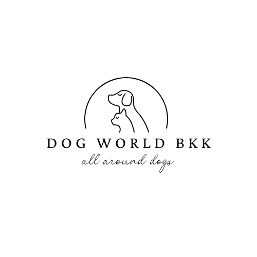 Dog friendly Hotel and Cafe in Bangkok