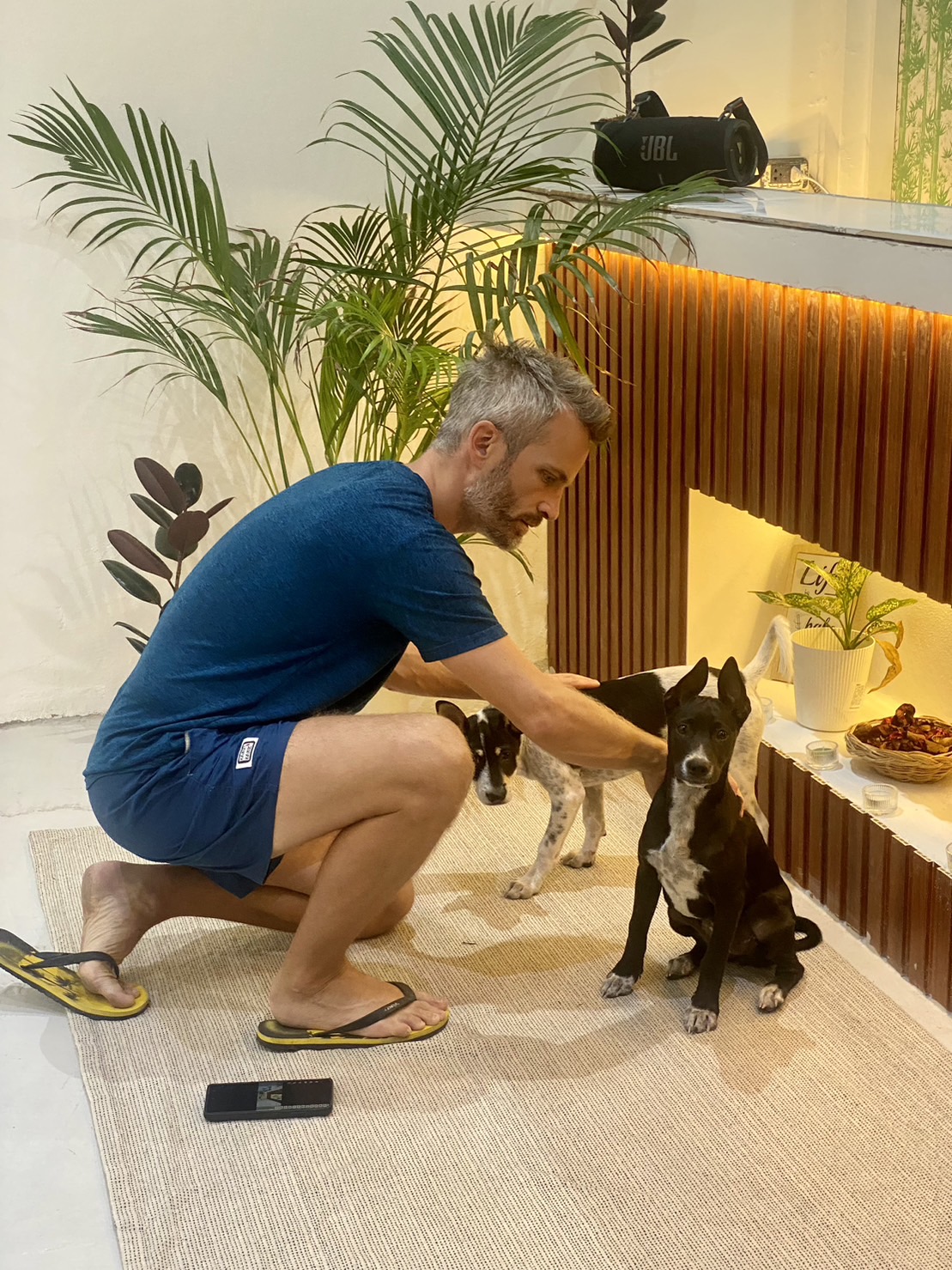 Hundefreundliches Hotel in Bangkok – Homey Stay and Café by Hematoa heißt Gäste mit ihren Vierbeinern herzlich willkommen."
